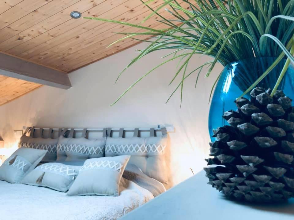 סולאק-סור-מר Le Chai De L'Ocean -Maison Plage A 300M - Jardin Terrasse מראה חיצוני תמונה